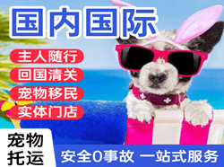 济南航空运输国际宠物托运 【国